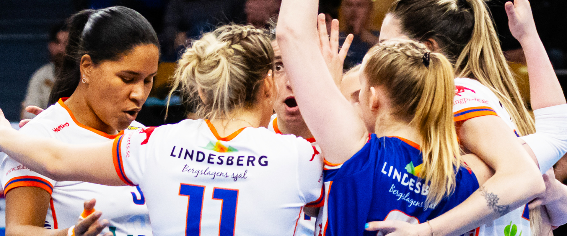Termina la temporada 2024/25 para Lindesberg Volley en cuartos de la ElitSerien.