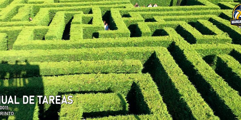 Tarea 00011. El Laberinto. Ideal para la Fase de Activación Física-Técnica